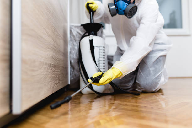  Lake Shore, WA Pest Control Pros