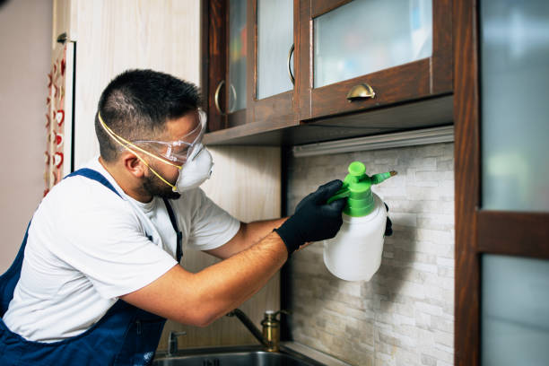  Lake Shore, WA Pest Control Pros