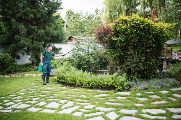 Best Cockroach Control Services  in Lake Shore, WA