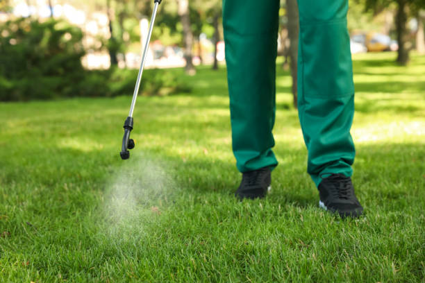 Wildlife Control Services in Lake Shore, WA