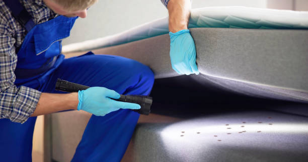 Best Termite Control Services  in Lake Shore, WA